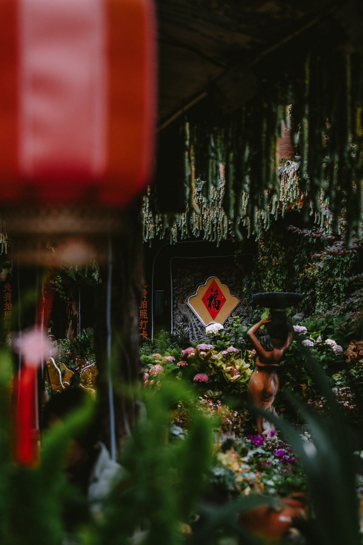 Photograph A7V00432 by Max Du