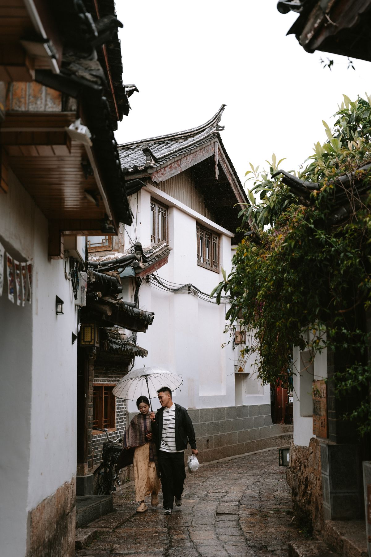 Photograph A7V00641 by Max Du