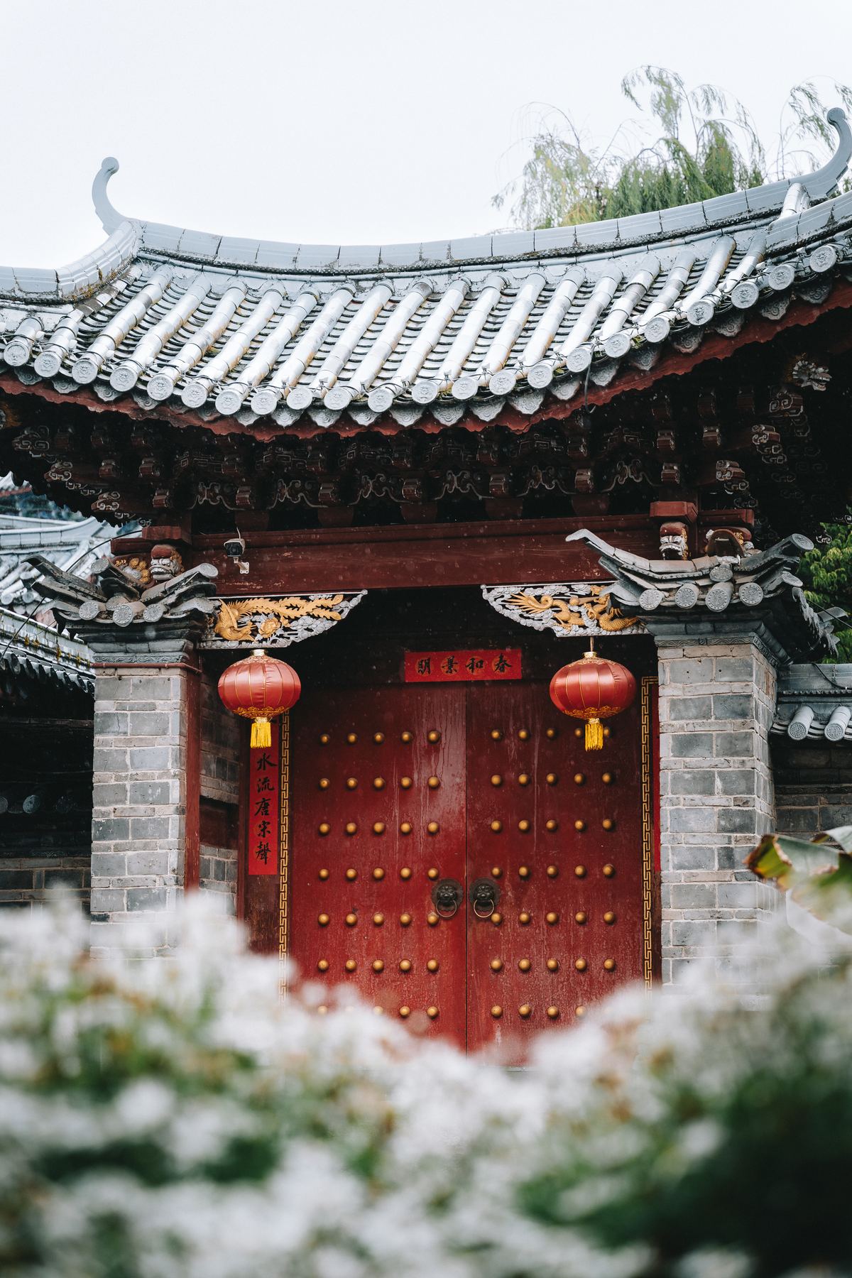 Photograph A7V00678 by Max Du