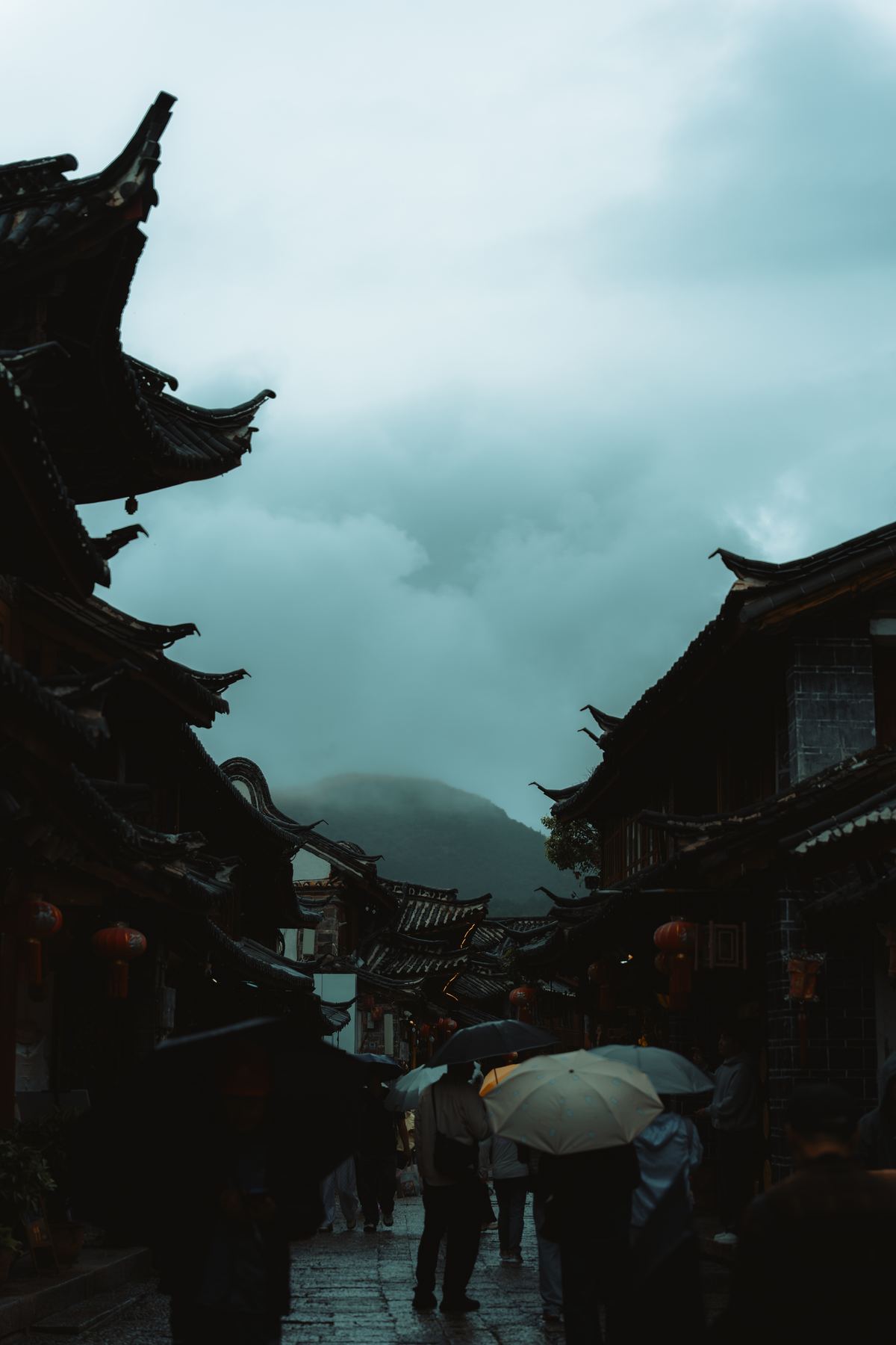 Photograph A7V00718 by Max Du