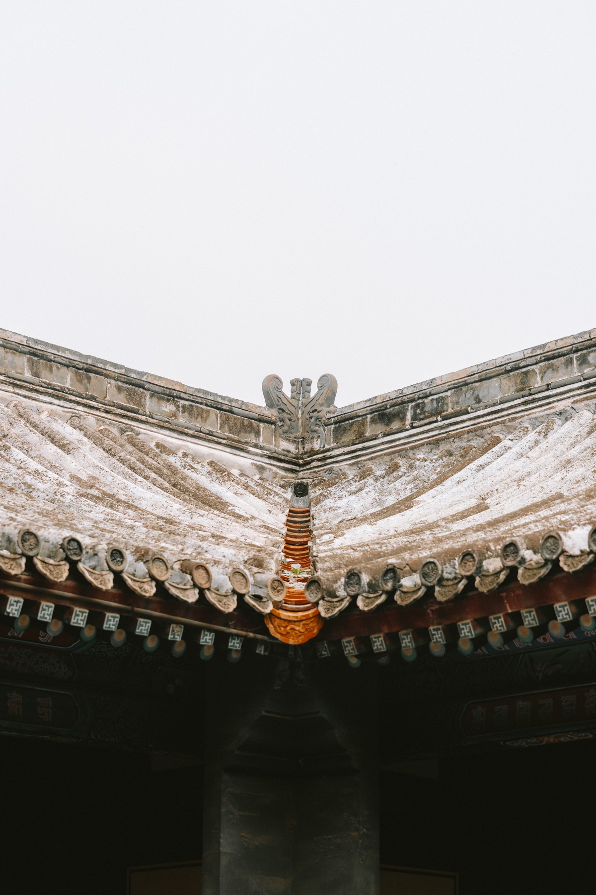 Photograph A7V01569 by Max Du