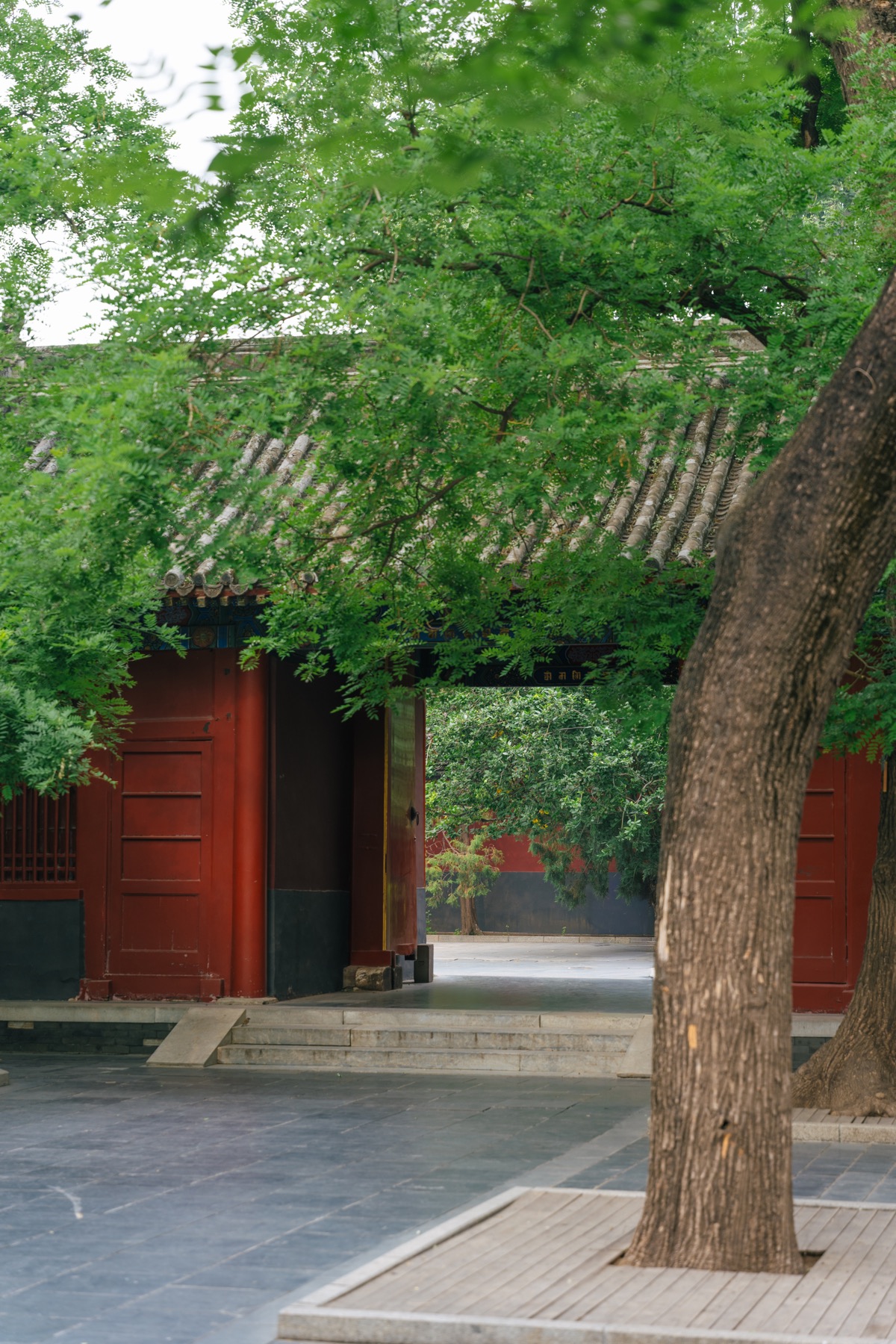 Photograph from Beijing by Max Du