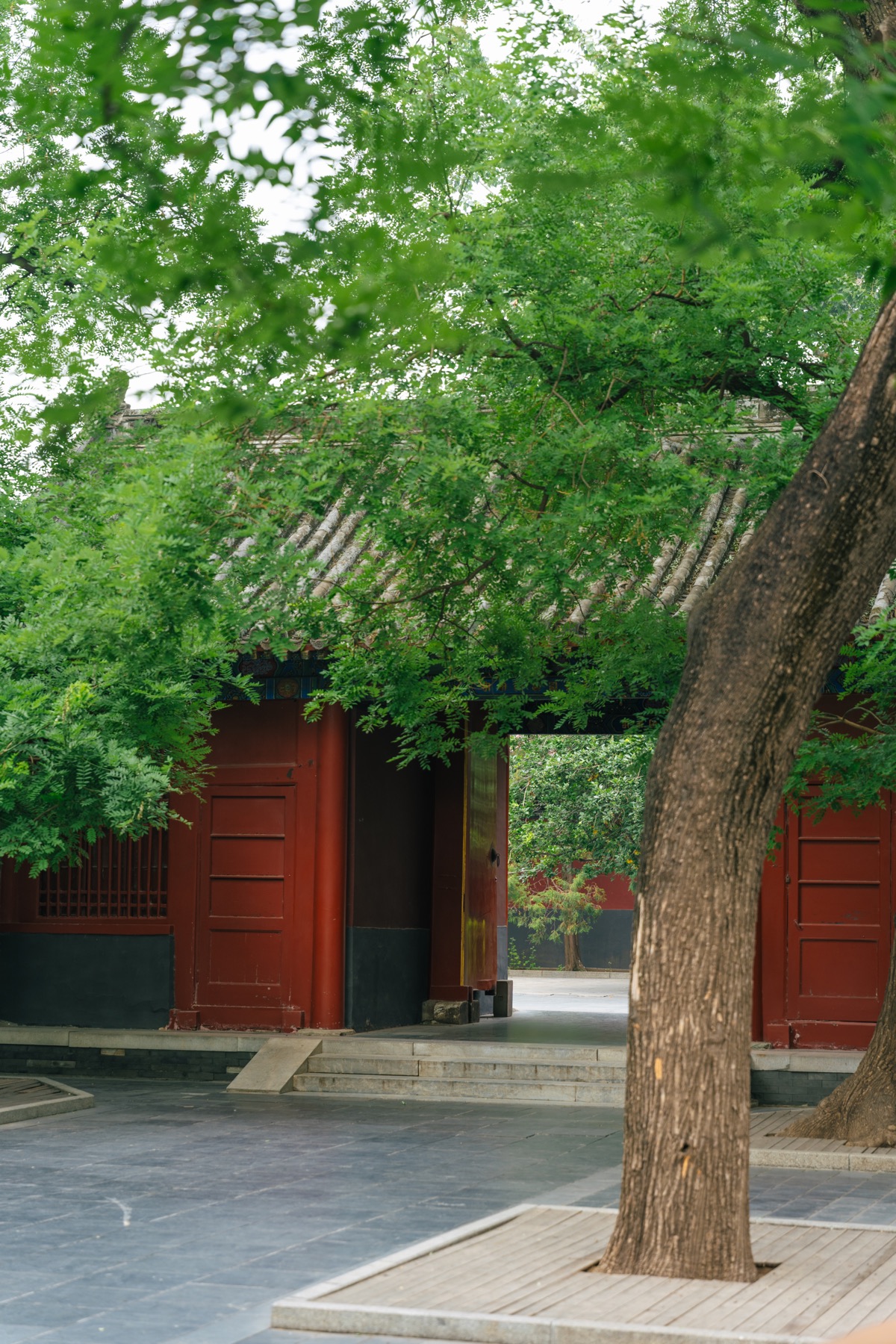Photograph from Beijing by Max Du