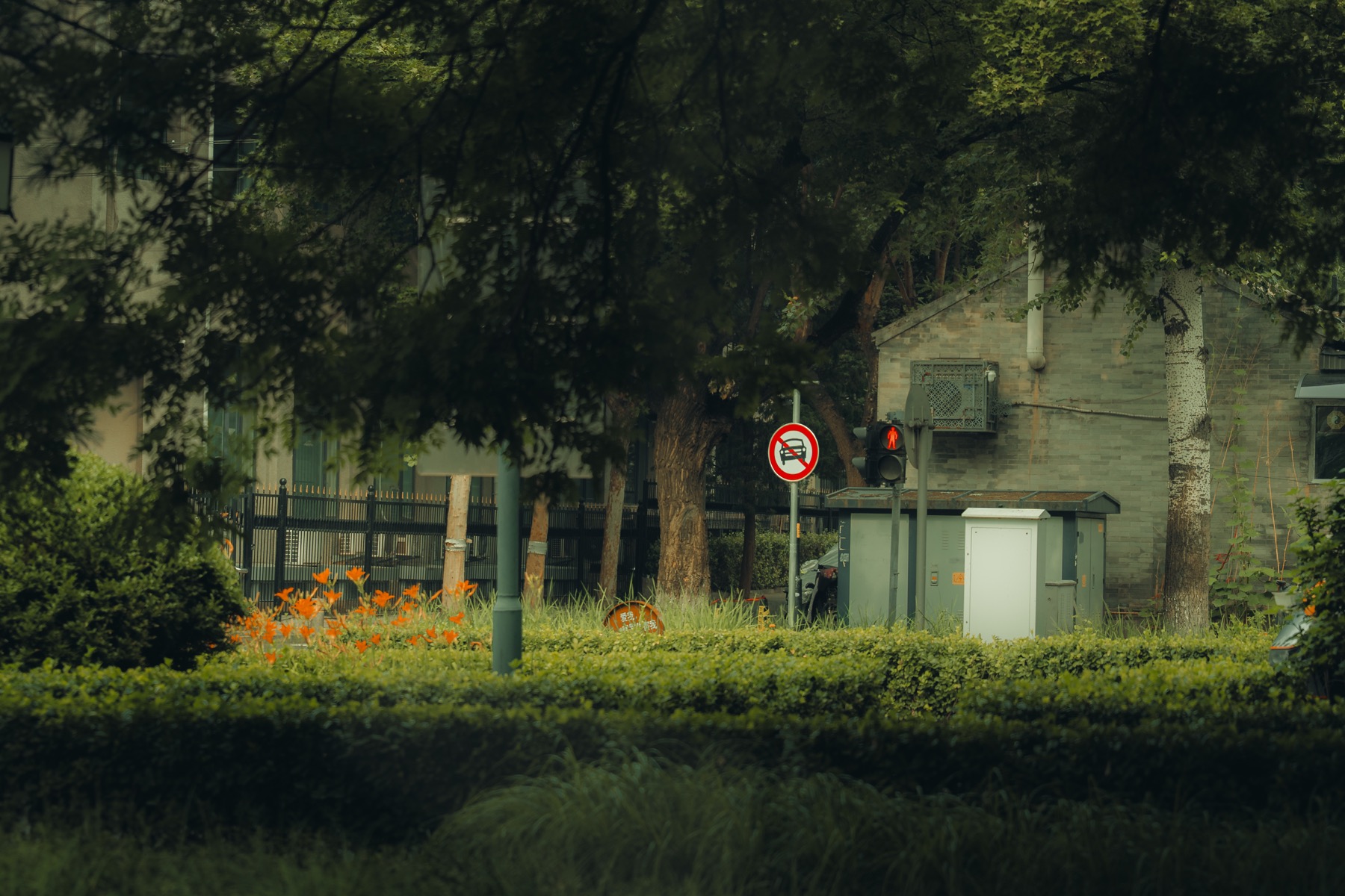 Photograph A7V01525 by Max Du