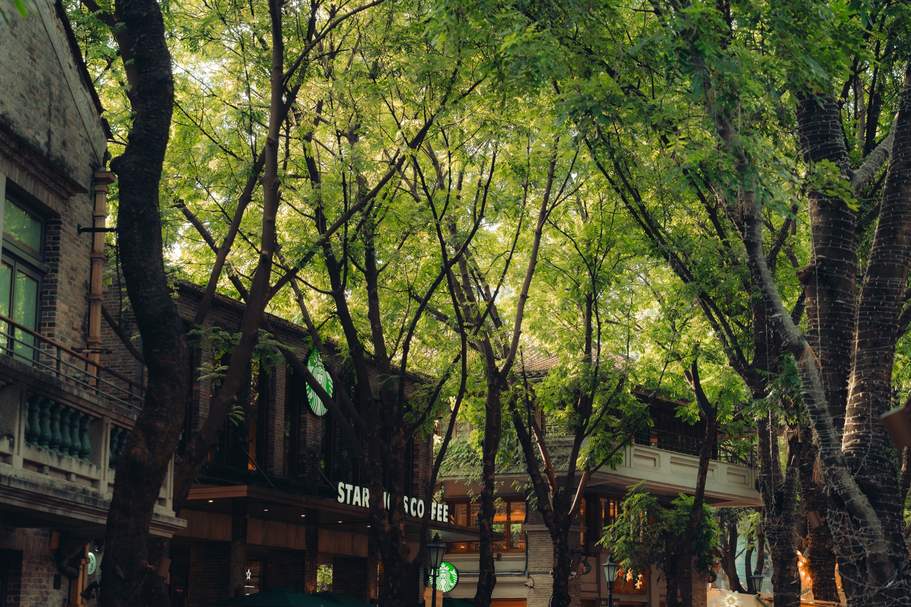 Photograph from Foshan by Max Du