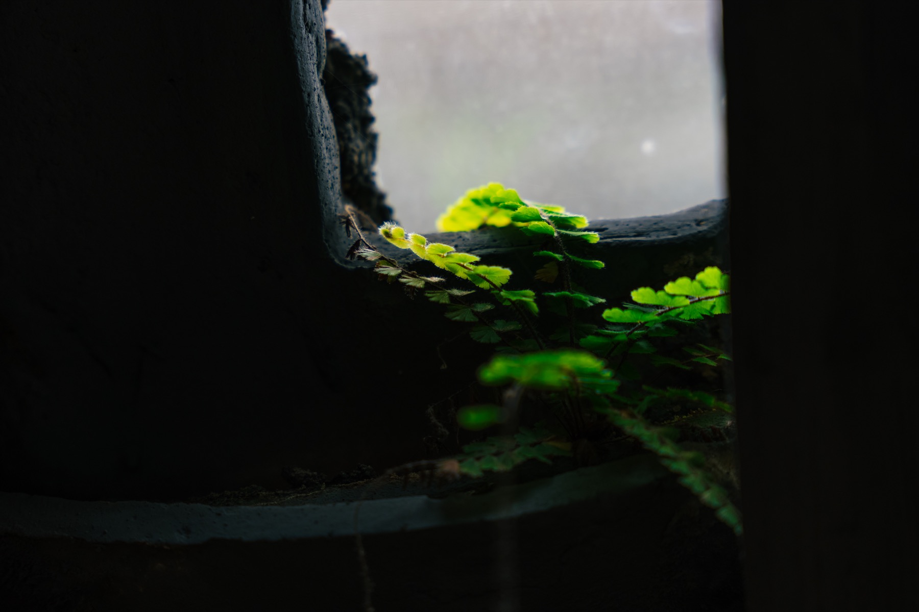 Photograph from Foshan by Max Du