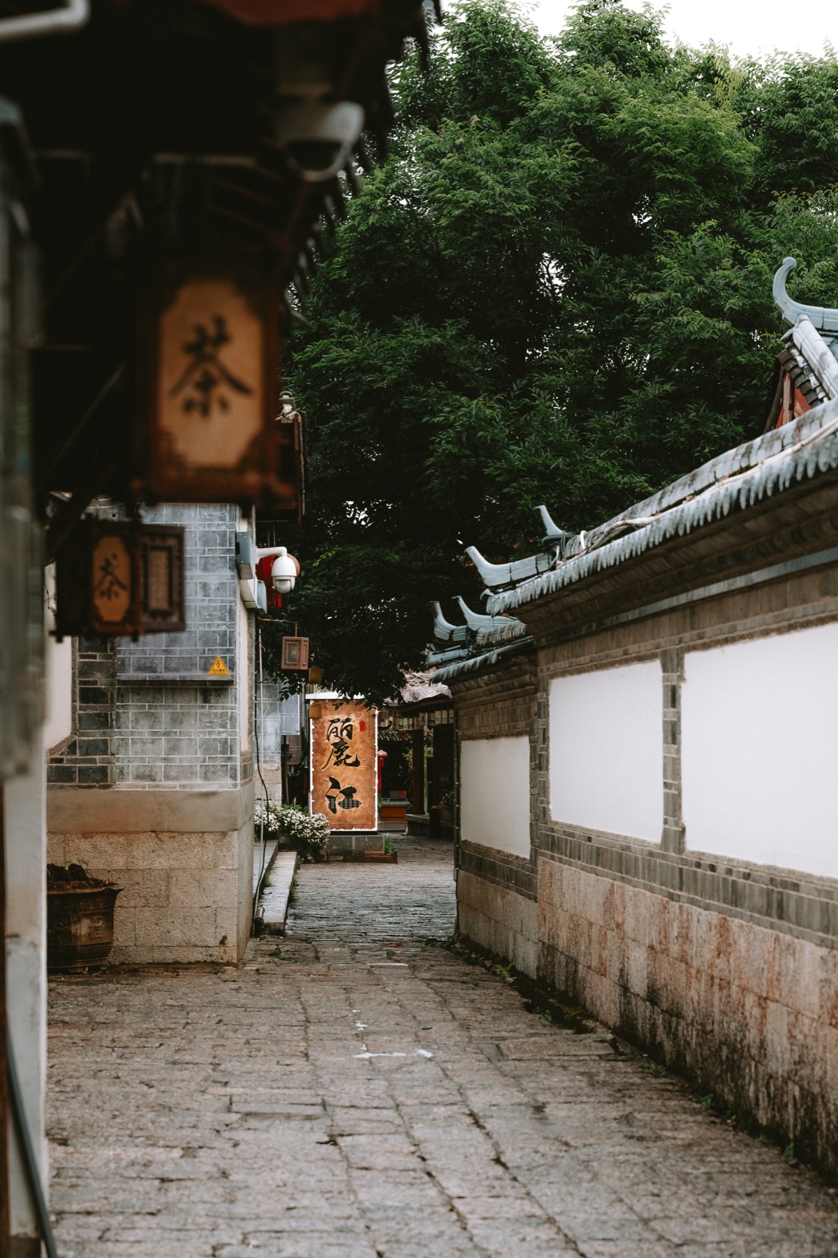 Photograph from Lijiang by Max Du