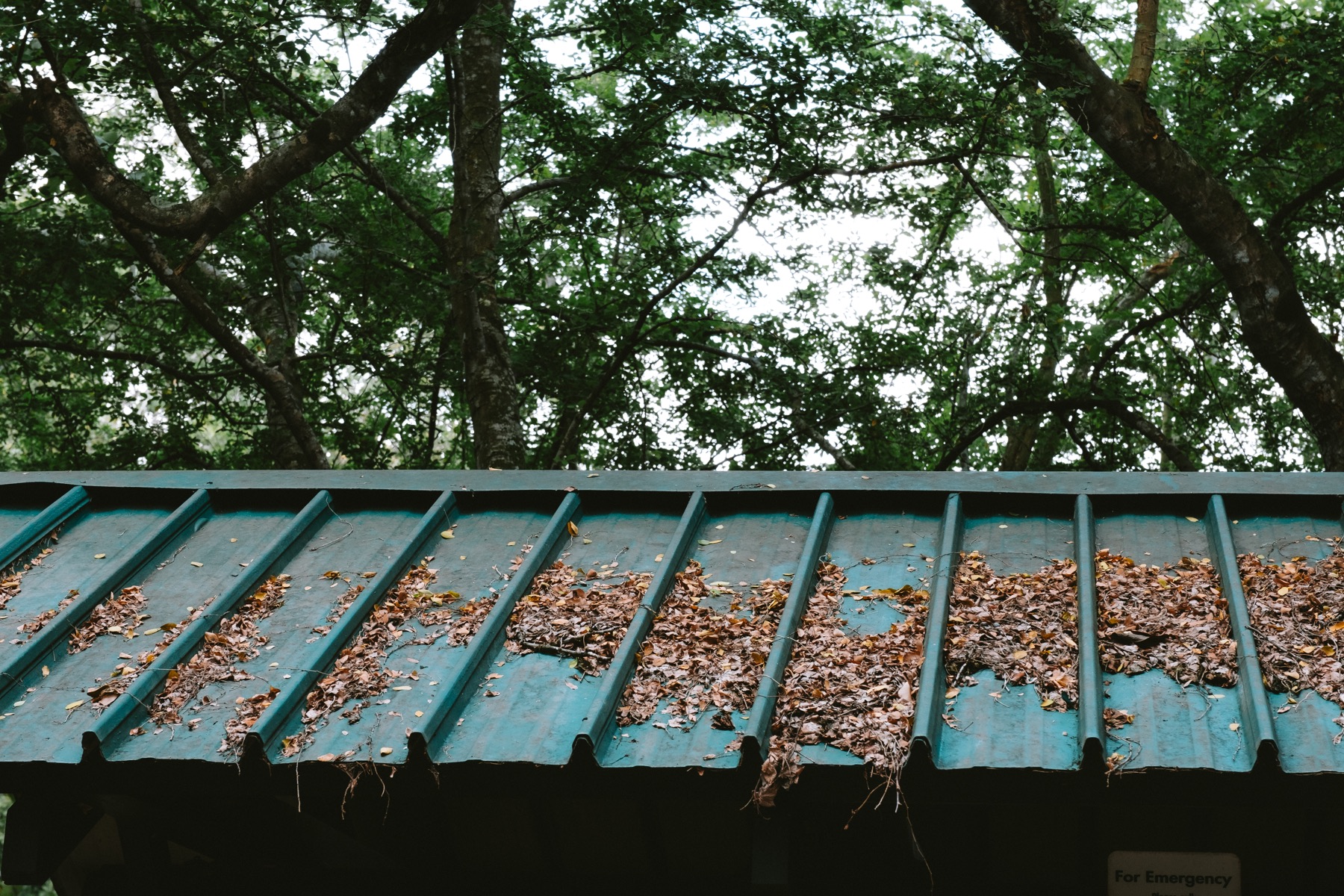 Photograph from Sungei Buloh by Max Du