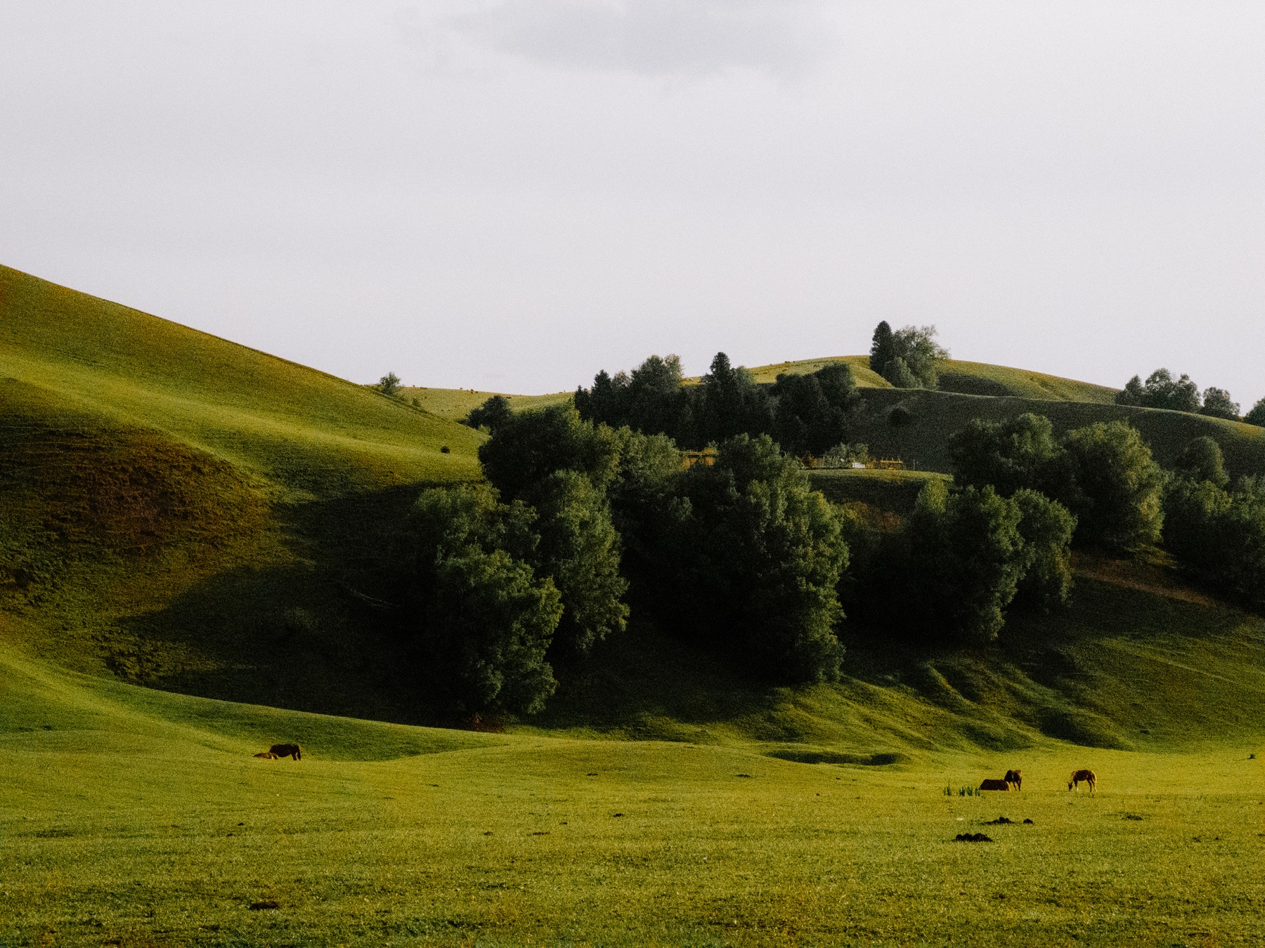Photograph from Xinjiang by Max Du