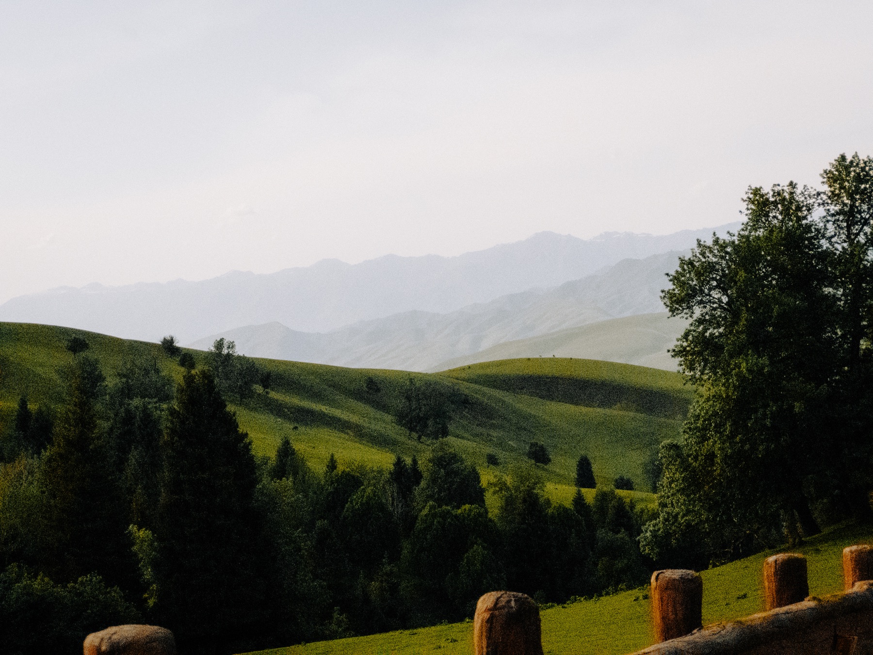 Photograph from Xinjiang by Max Du